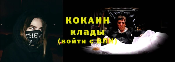 ПСИЛОЦИБИНОВЫЕ ГРИБЫ Абаза
