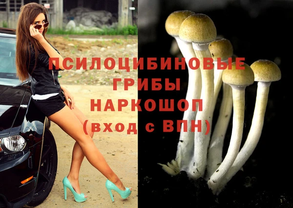 МДПВ Новокубанск